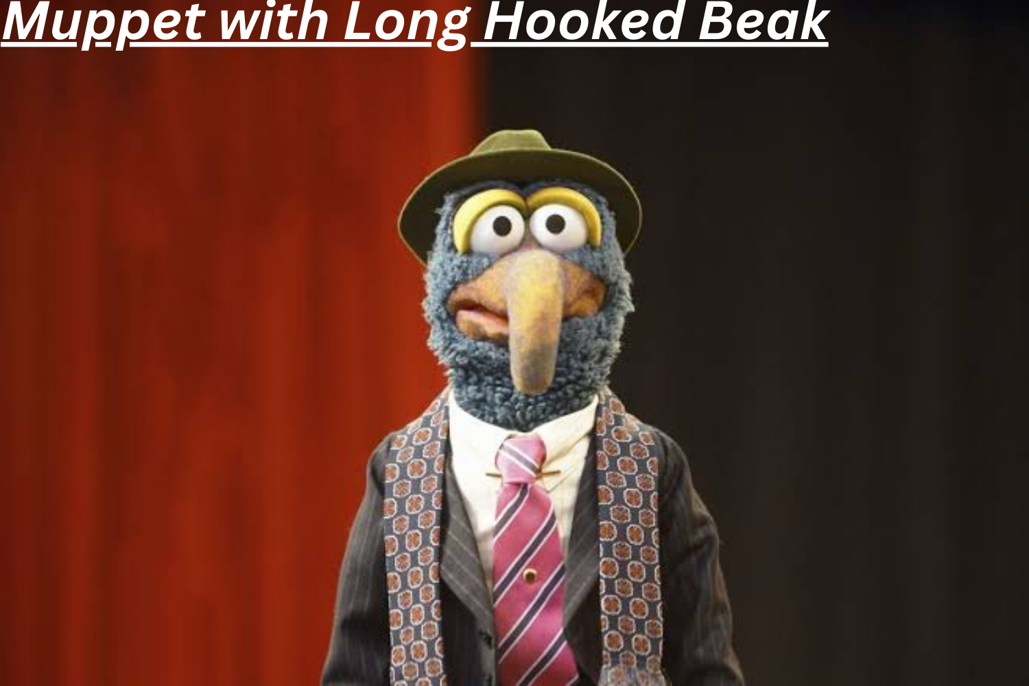 Muppet with Long Hooked Beak