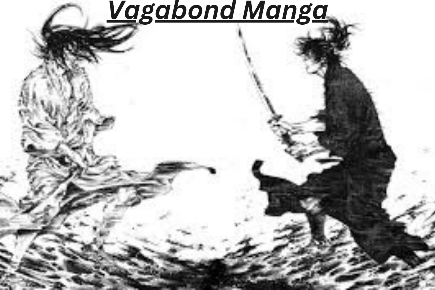 Vagabond Manga